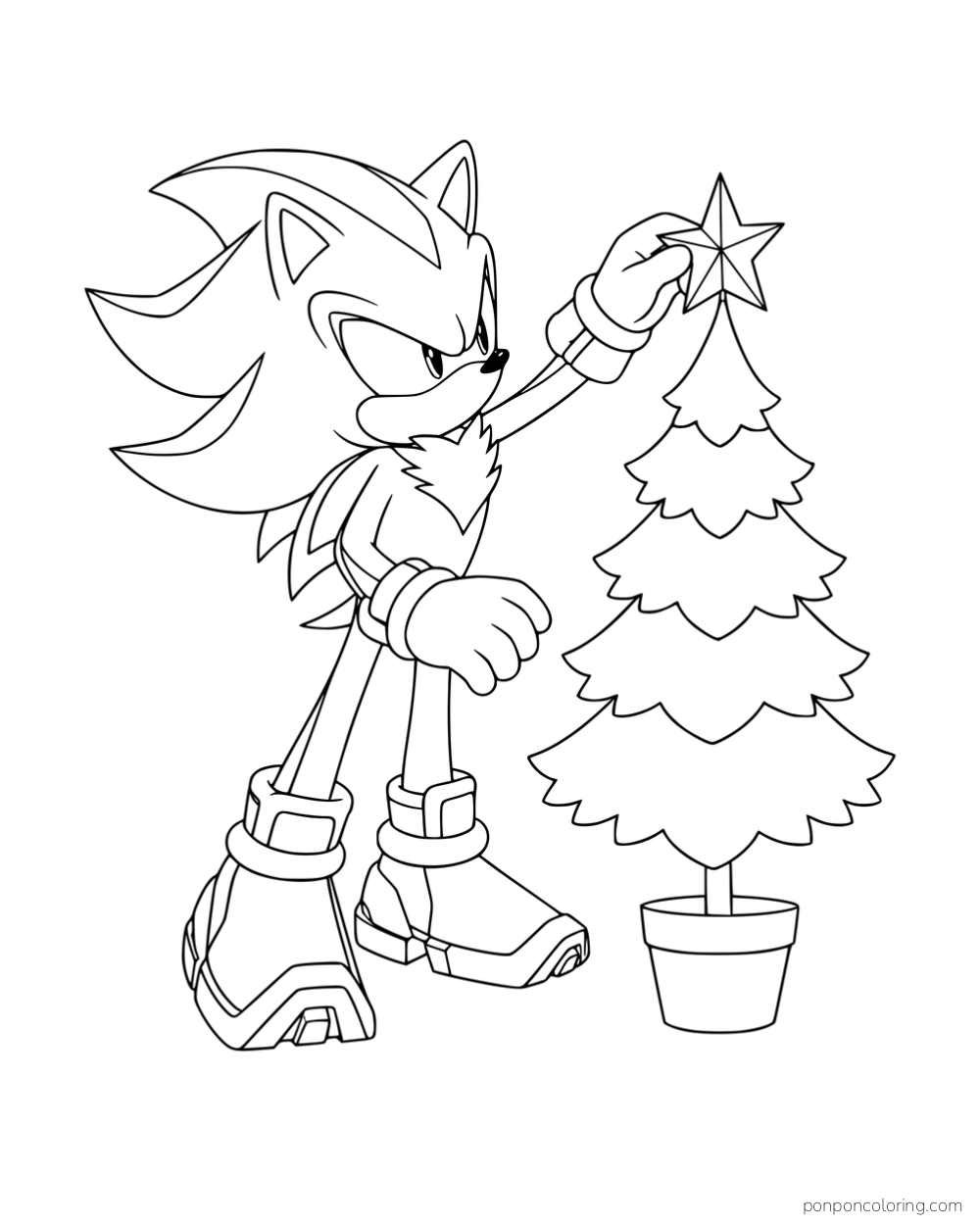 Shadow placing a star on top of a potted pine tree.