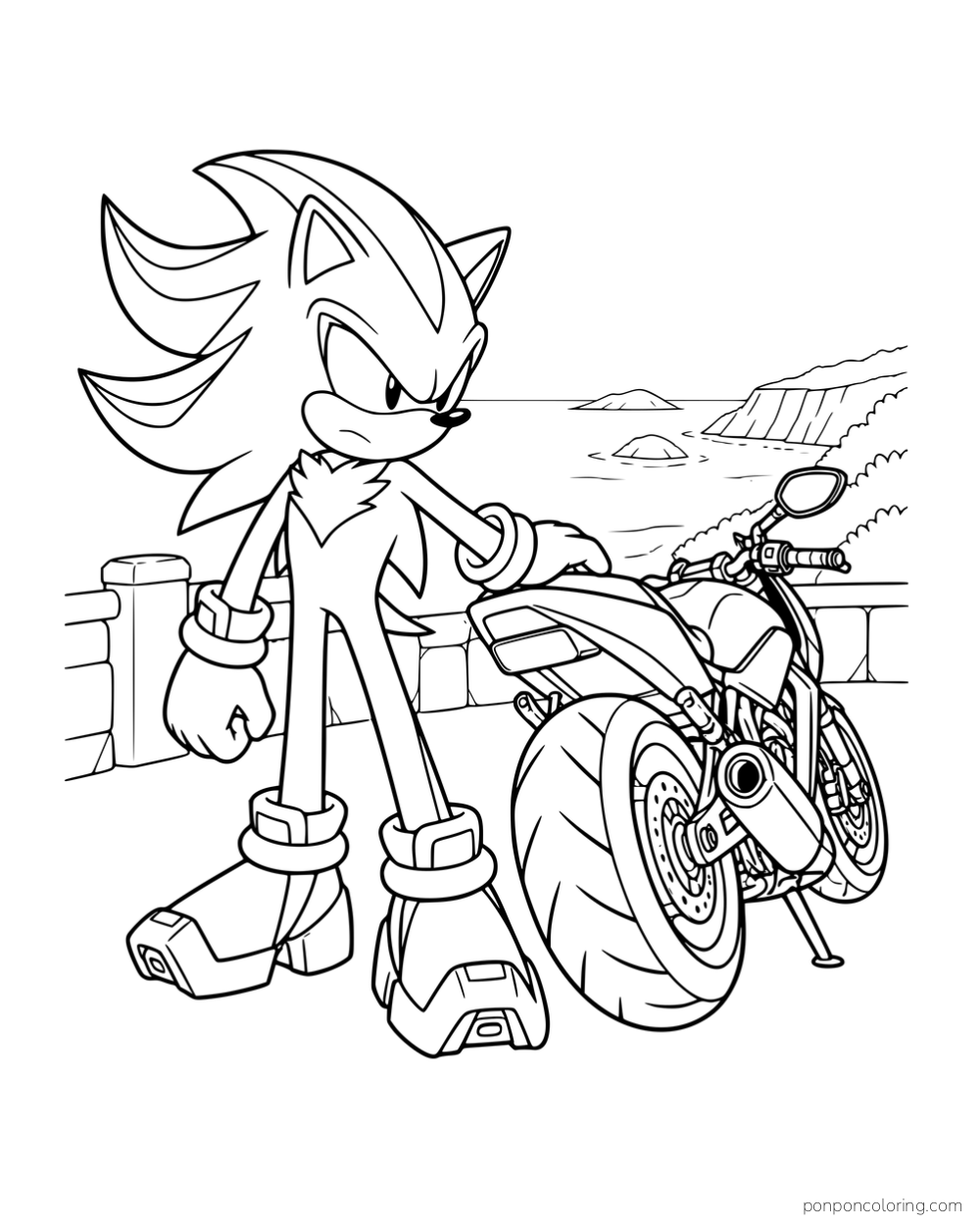 Shadow standing beside a motorcycle overlooking the coast.