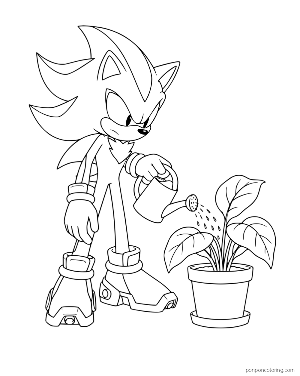 Shadow using a watering can on a leafy potted plant.