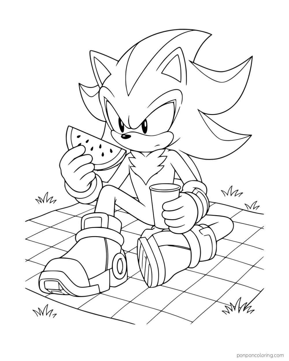 Shadow sitting on a checkered picnic blanket with a watermelon slice and a cup.
