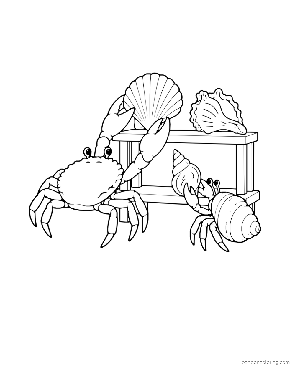 A crab raises a scallop shell beside a display table as a small hermit crab watches.