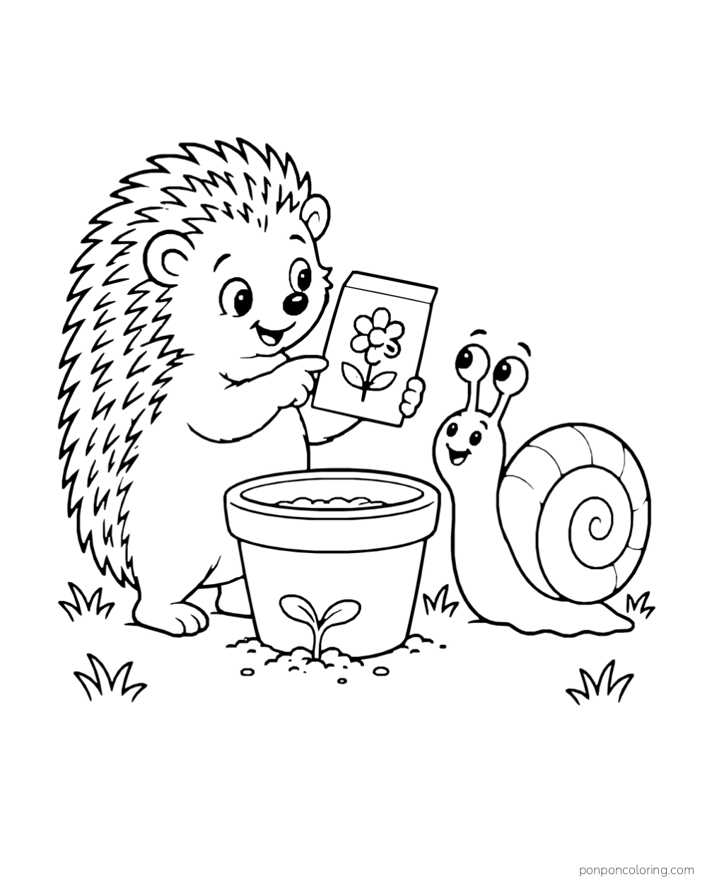 A hedgehog shows a flower-marked seed packet to a snail beside a clay pot and seedling.