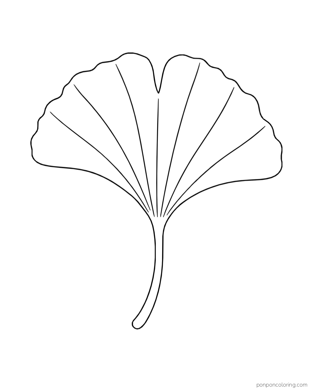 A fan-shaped ginkgo leaf with radiating veins and a curved stem.