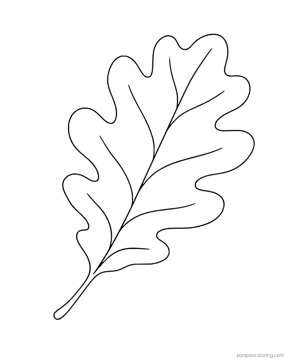 A broad oak leaf with rounded lobes, a long stem, and a few side veins.