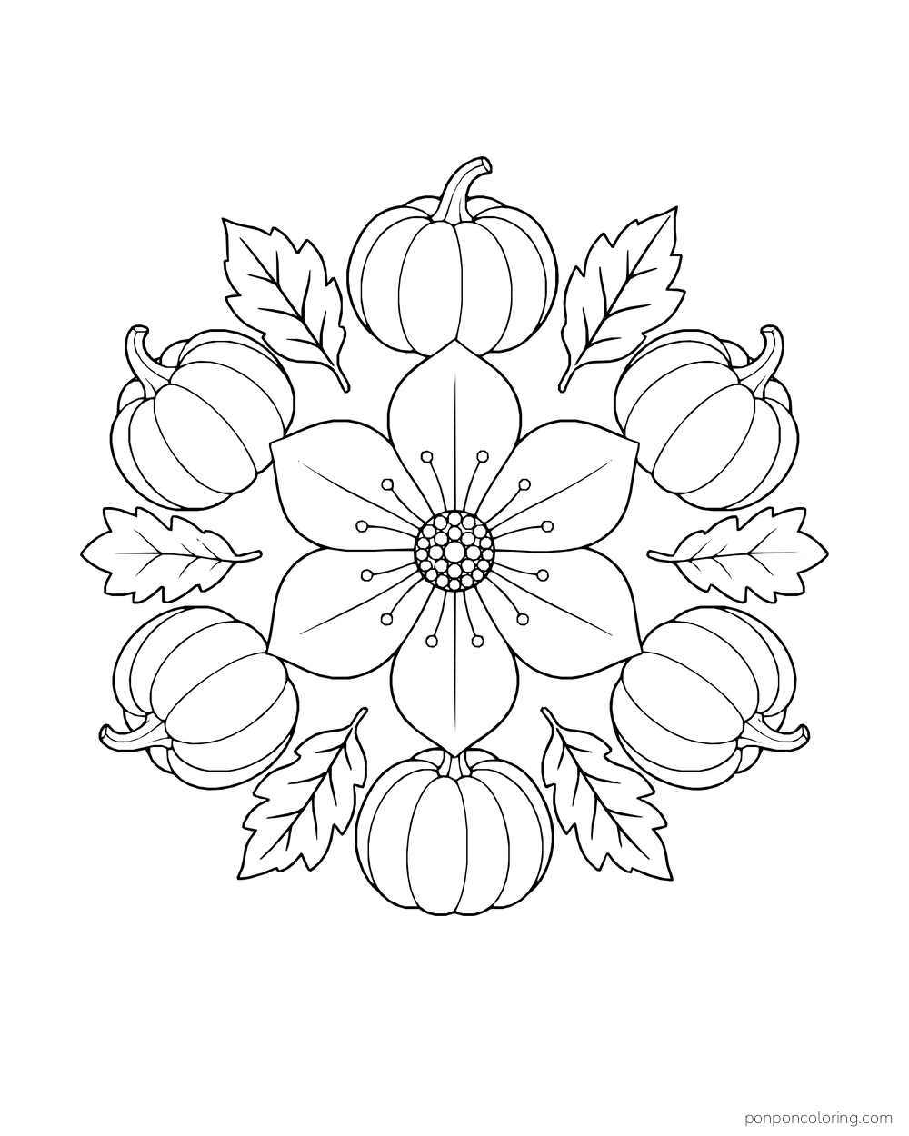 Six pumpkins and six leaves surround a large six-petal flower in an autumn rosette.