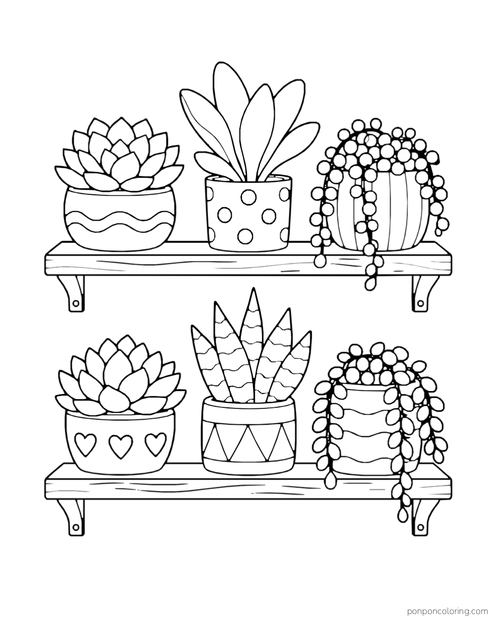 Two plain shelves holding six pots with rosettes, upright fleshy leaves and trailing round strands.