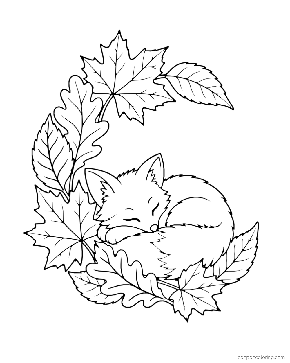 A curled sleeping fox rests inside a crescent of autumn leaves.