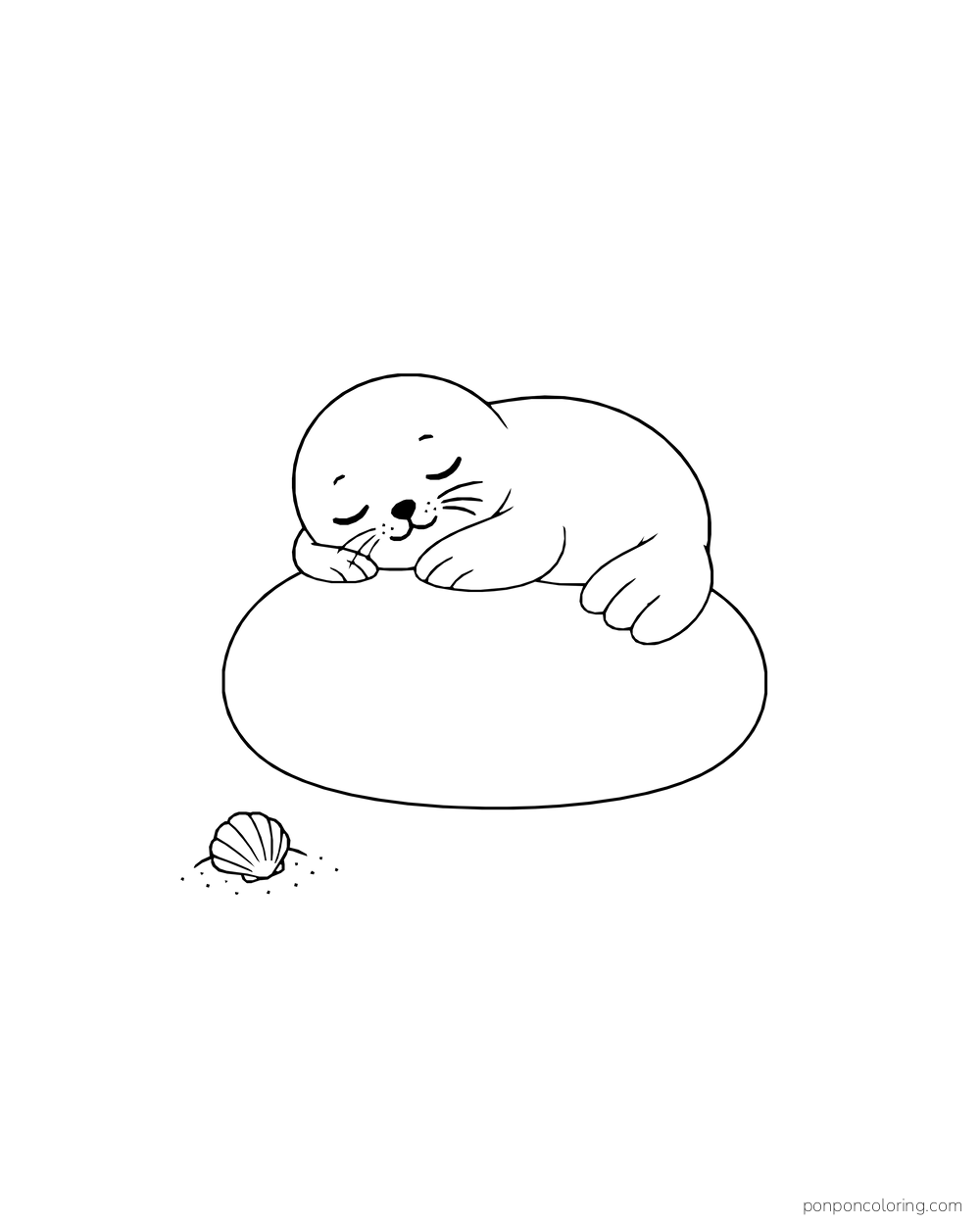 A small seal sleeps on a low rounded rock with one shell nearby.