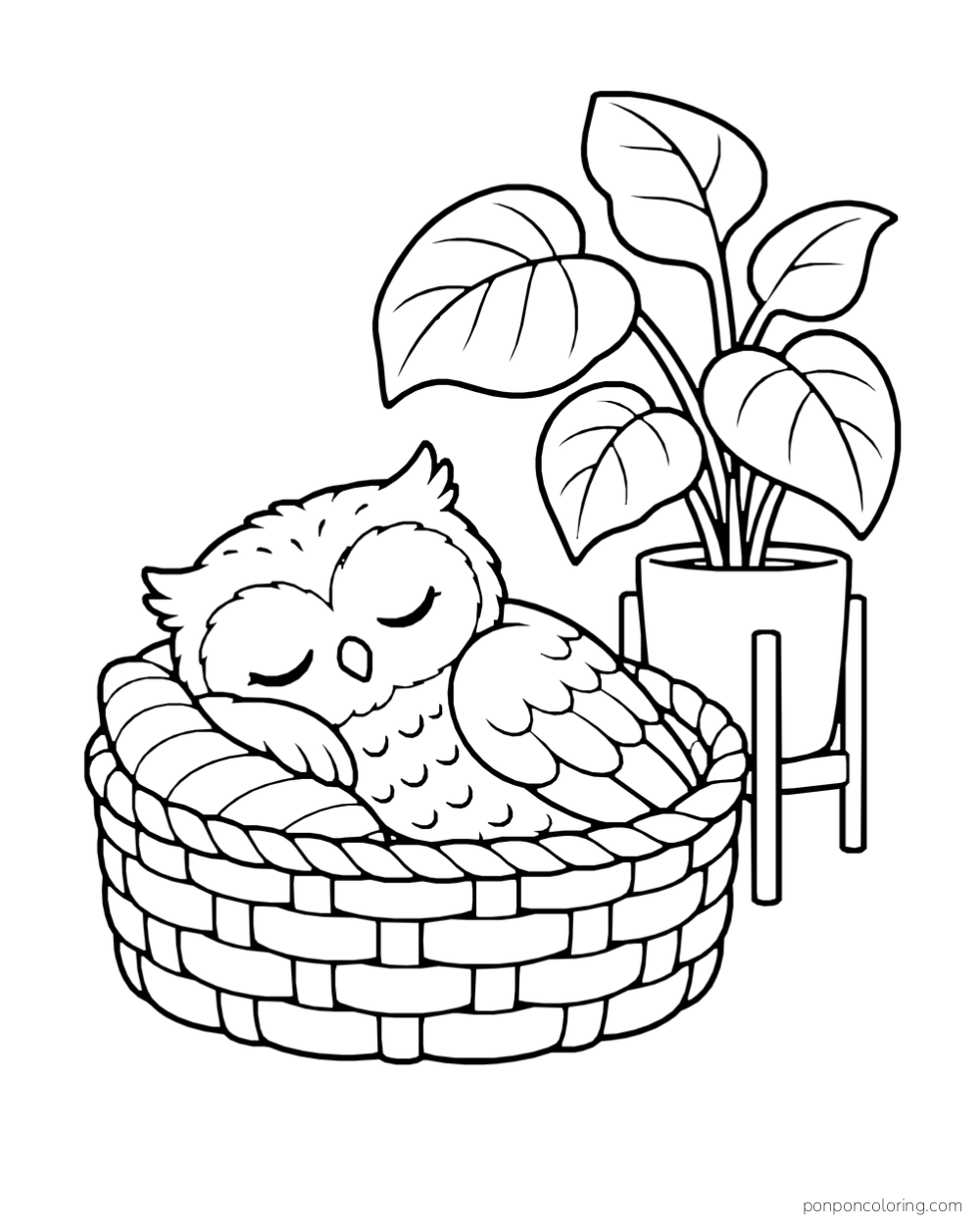 A little owl sleeps in a woven basket beside a large potted plant.