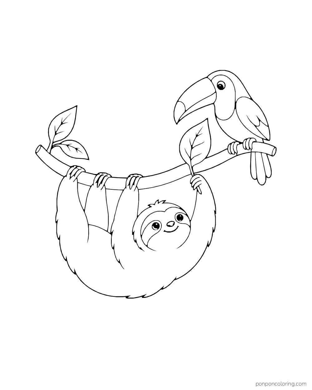 Sloth hanging below a leafy branch while a toucan perches above it.
