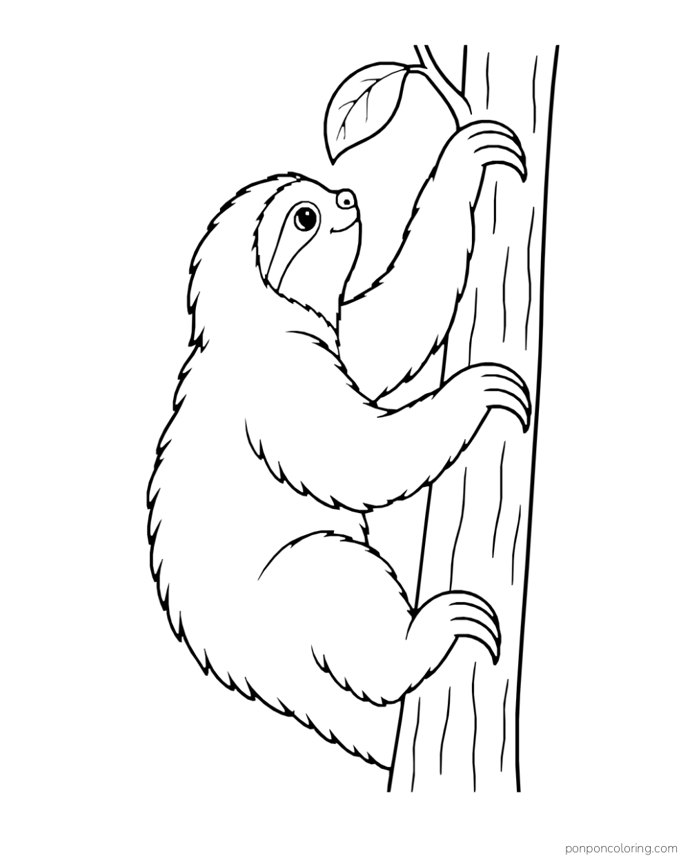 Side-view sloth climbing a tree trunk with one paw above the other.