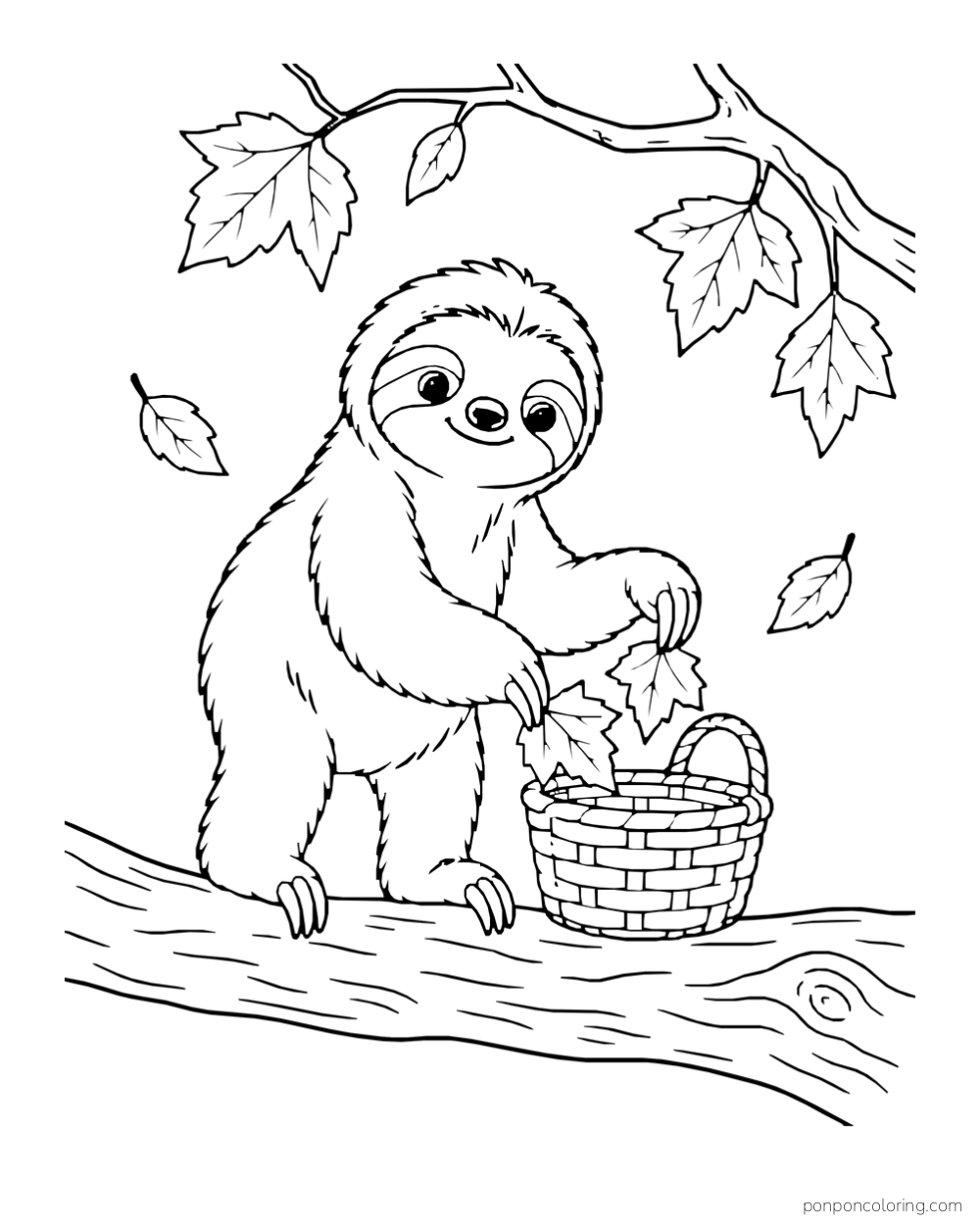 Sloth placing fallen leaves into a small woven basket on a branch.