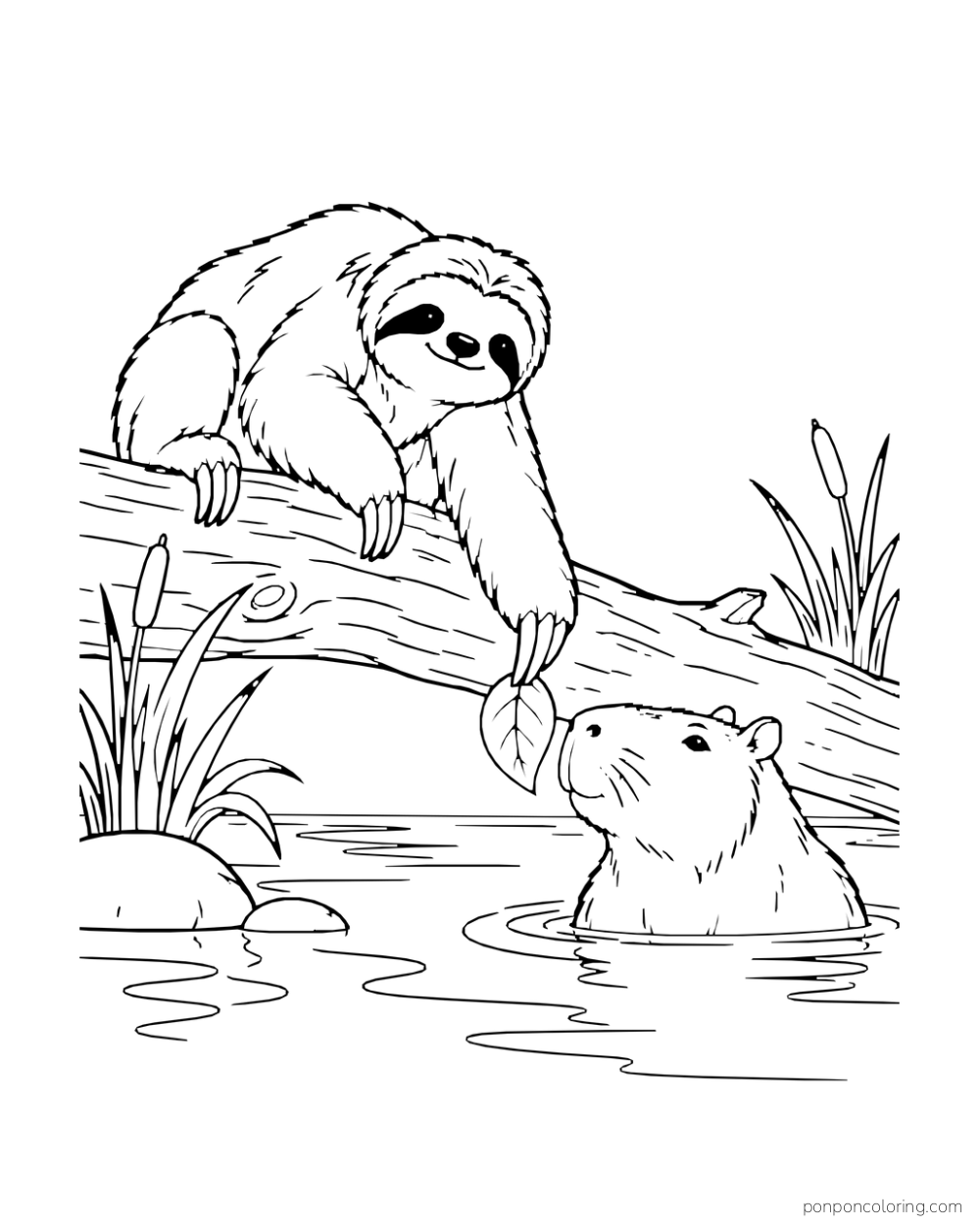Sloth reaching a leaf toward a capybara in a shallow river.