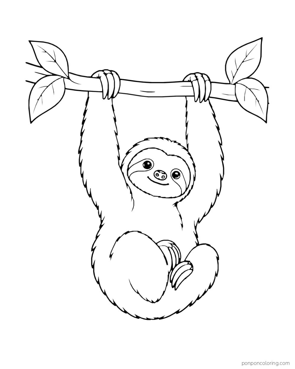 Sloth hanging by both paws from a straight branch with its legs tucked up.