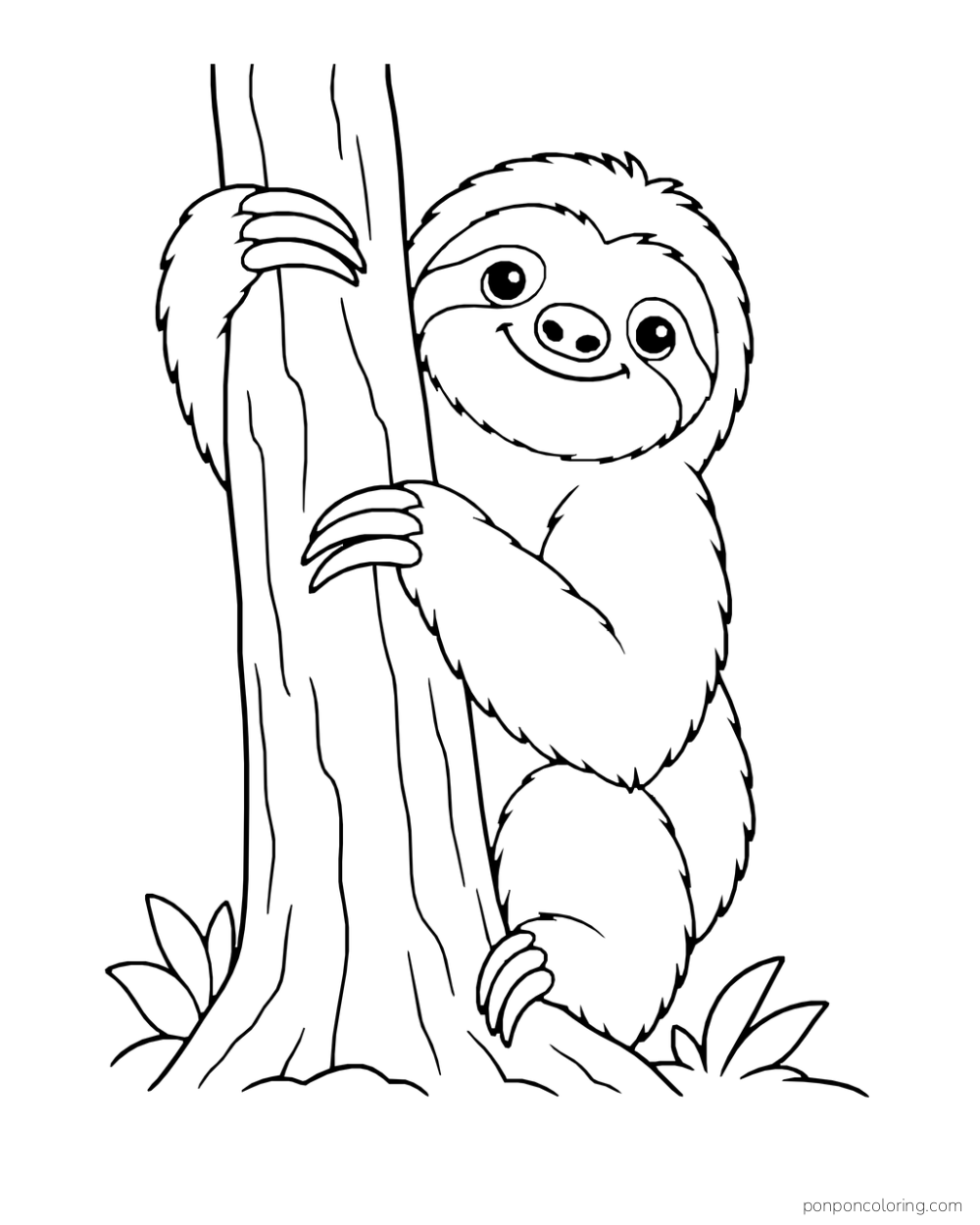 Sloth peeking around a tall tree trunk with both curved paws visible.