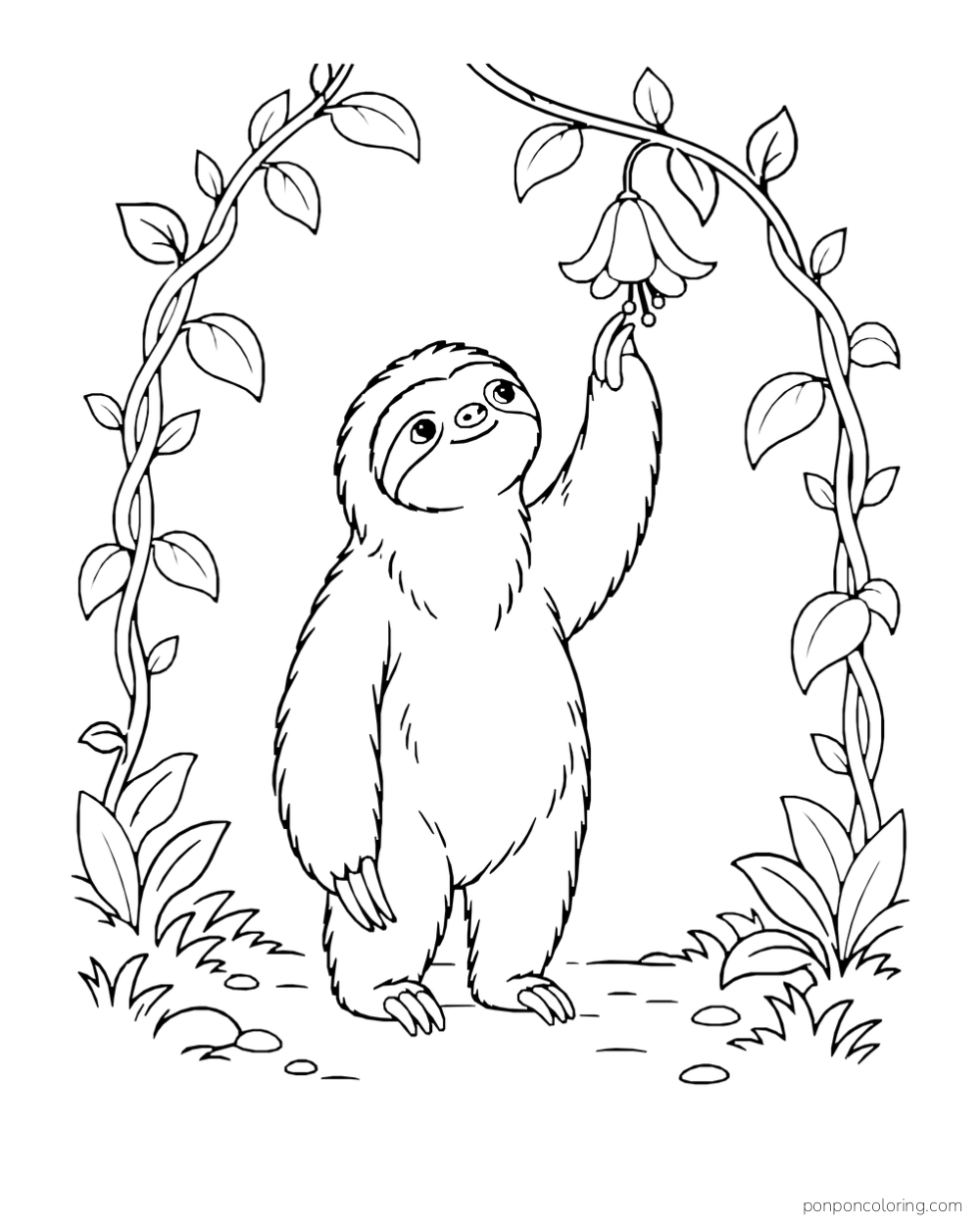 Sloth standing beneath two curved vines and reaching up to one hanging flower.