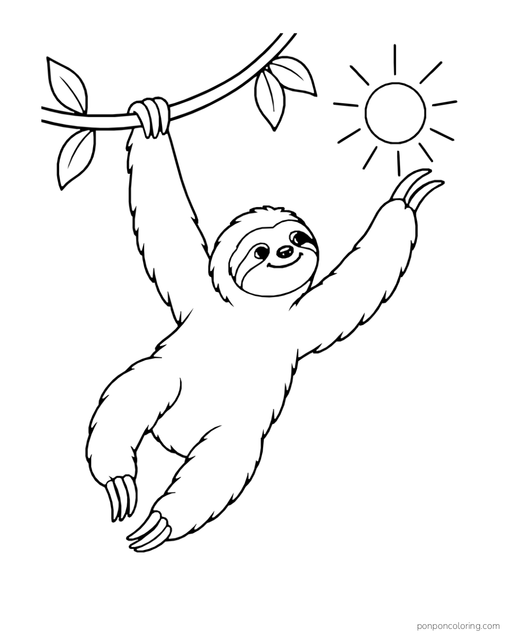 Sloth hanging from a branch with one paw and stretching the other toward the sun.