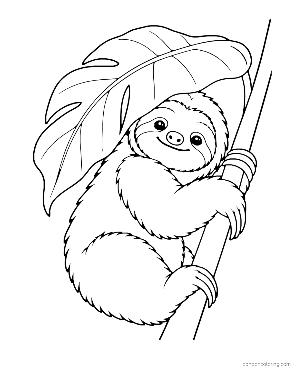 Sloth resting beside a trunk under a very large tropical leaf.