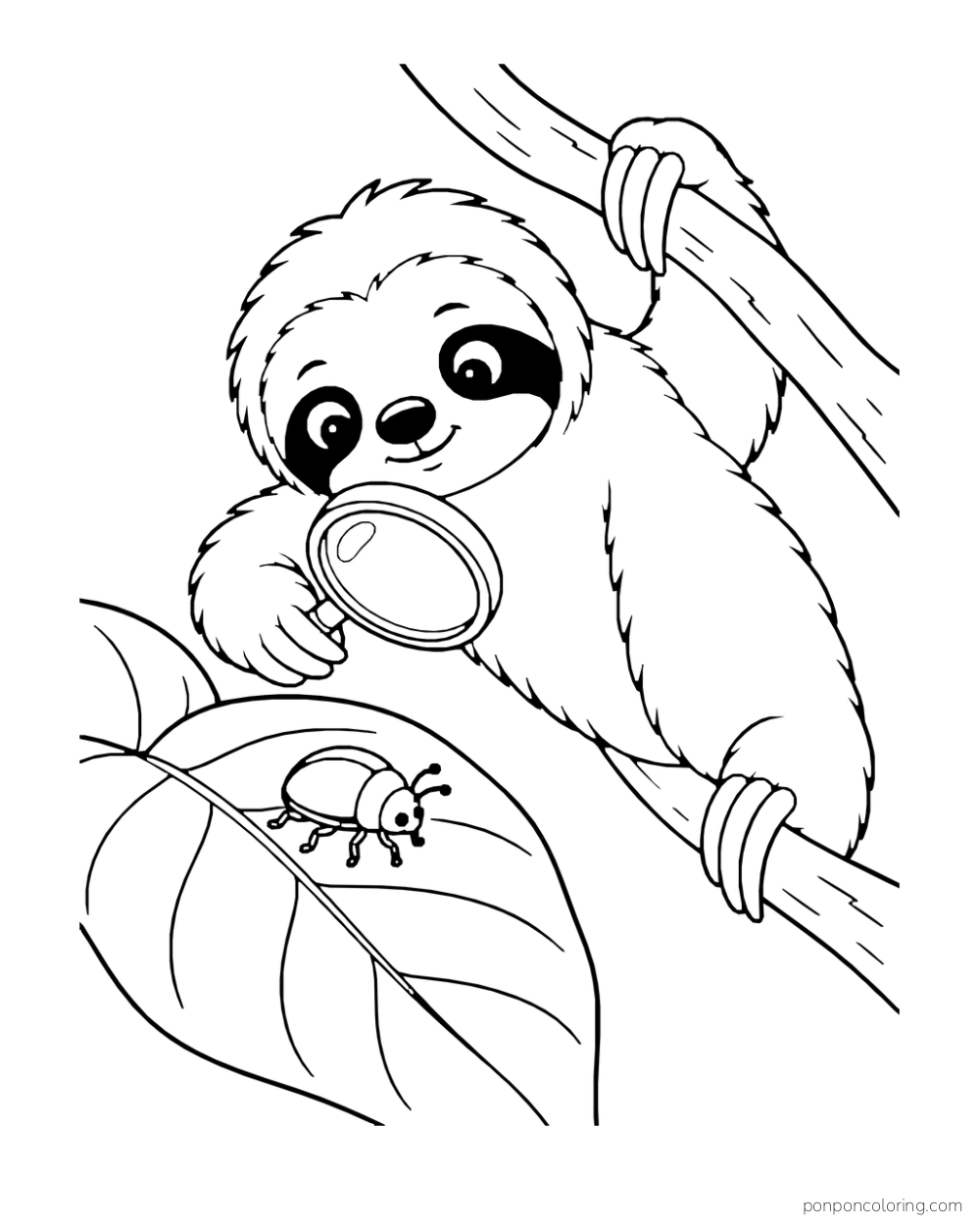 Sloth peering through a magnifying glass at a beetle on a broad leaf.