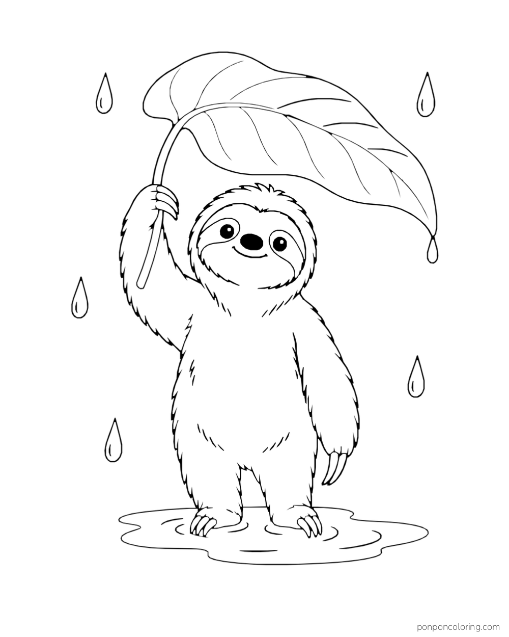 Sloth standing in a shallow puddle beneath a large leaf while scattered raindrops fall.