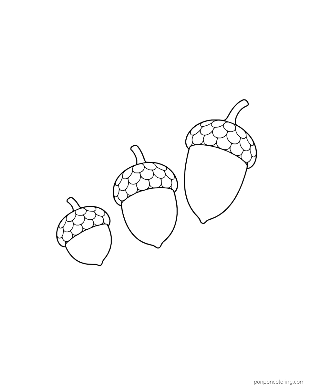 Three acorns in different sizes form a rising diagonal across the page.