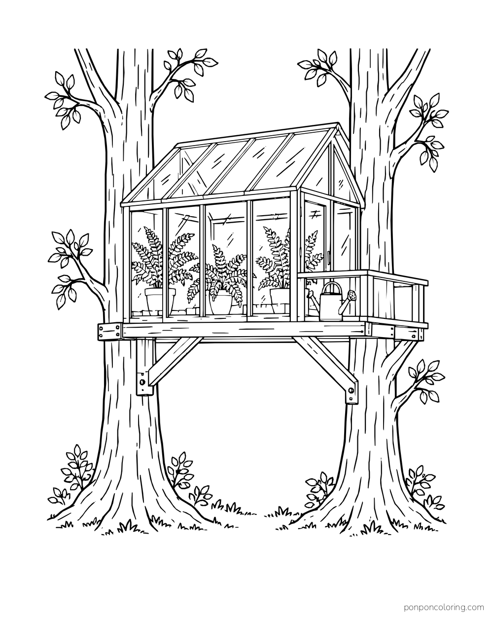 A glass-sided greenhouse rests between two tree trunks with potted ferns and a watering can.