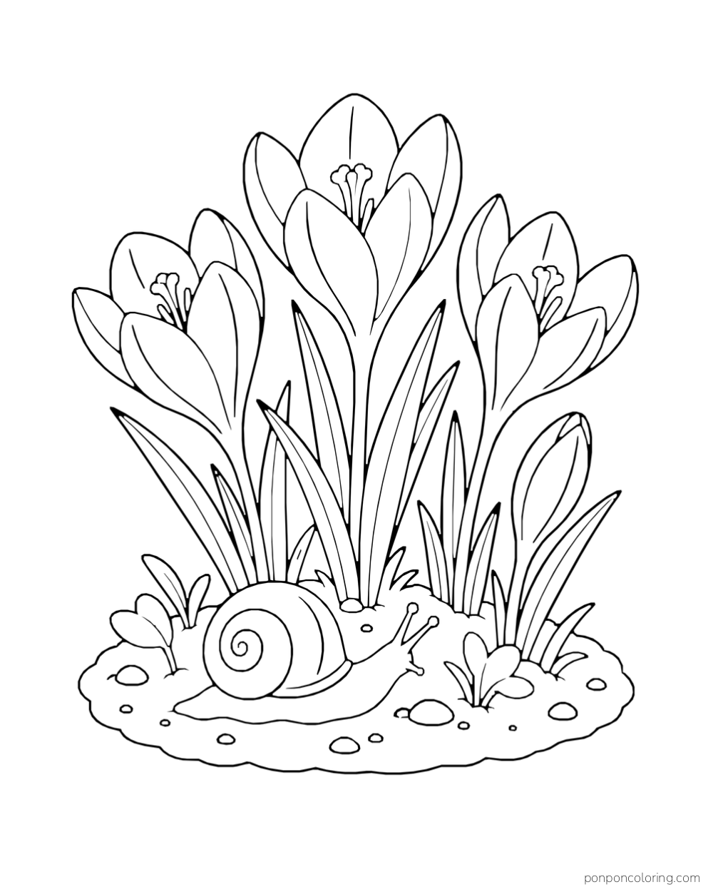 A snail with a spiral shell crawls among crocus blooms and narrow leaves on a small patch of soil.