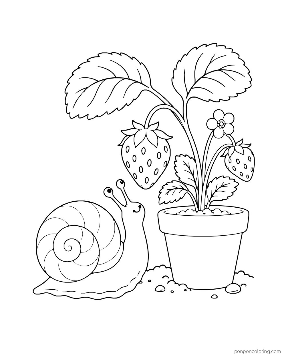A snail approaches a potted strawberry plant with two hanging berries.