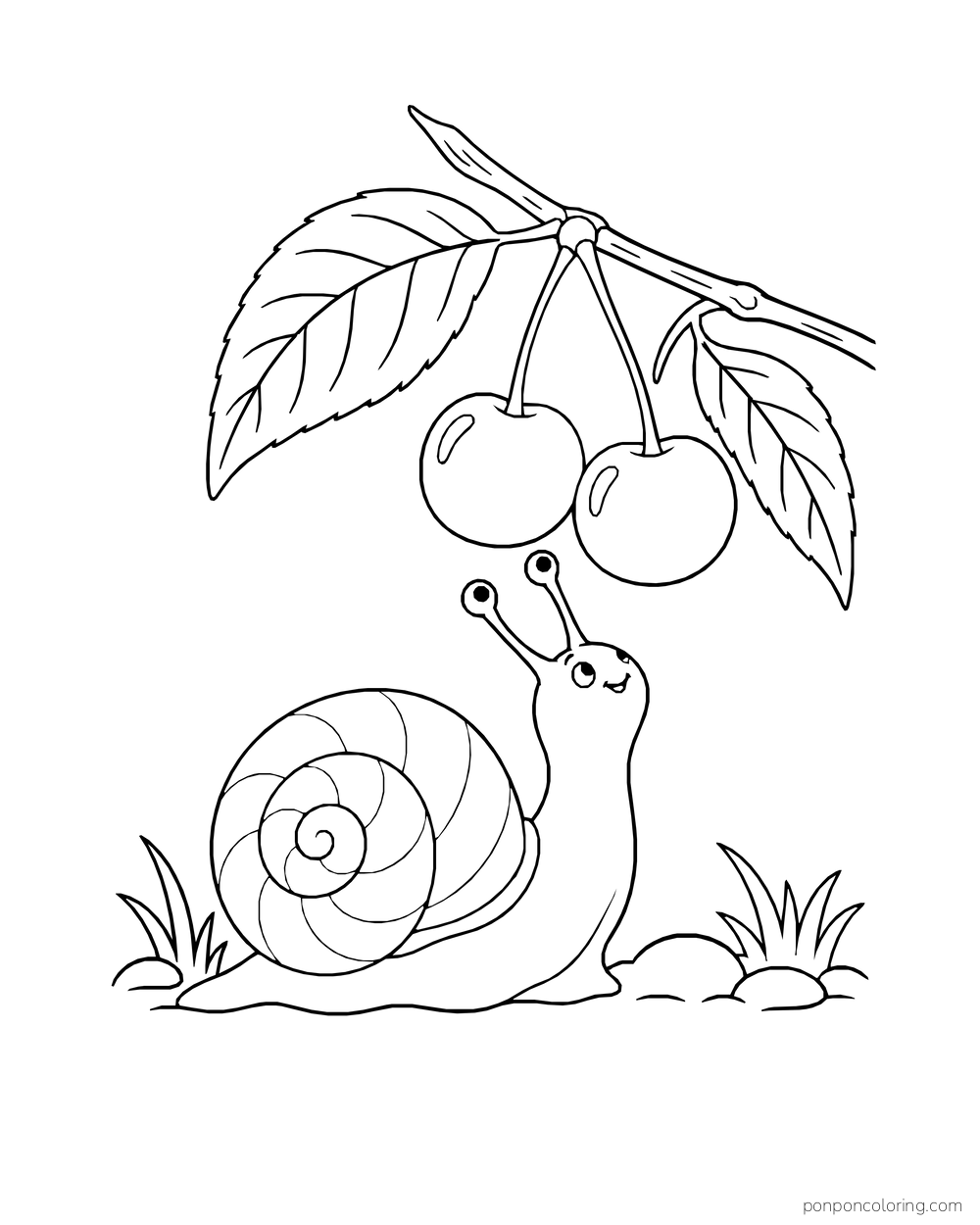 A snail looks up at two cherries hanging from a low leafy twig.