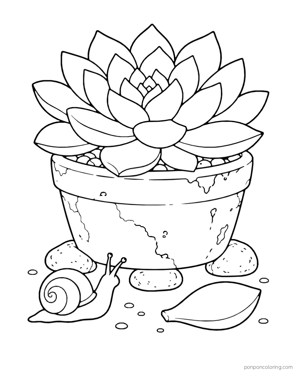 Snail beside a broad succulent rosette in a weathered clay pot with rocks and a loose leaf.