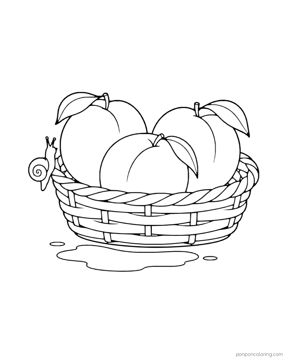 Snail climbing the side of a complete basket of peaches above a shallow puddle.