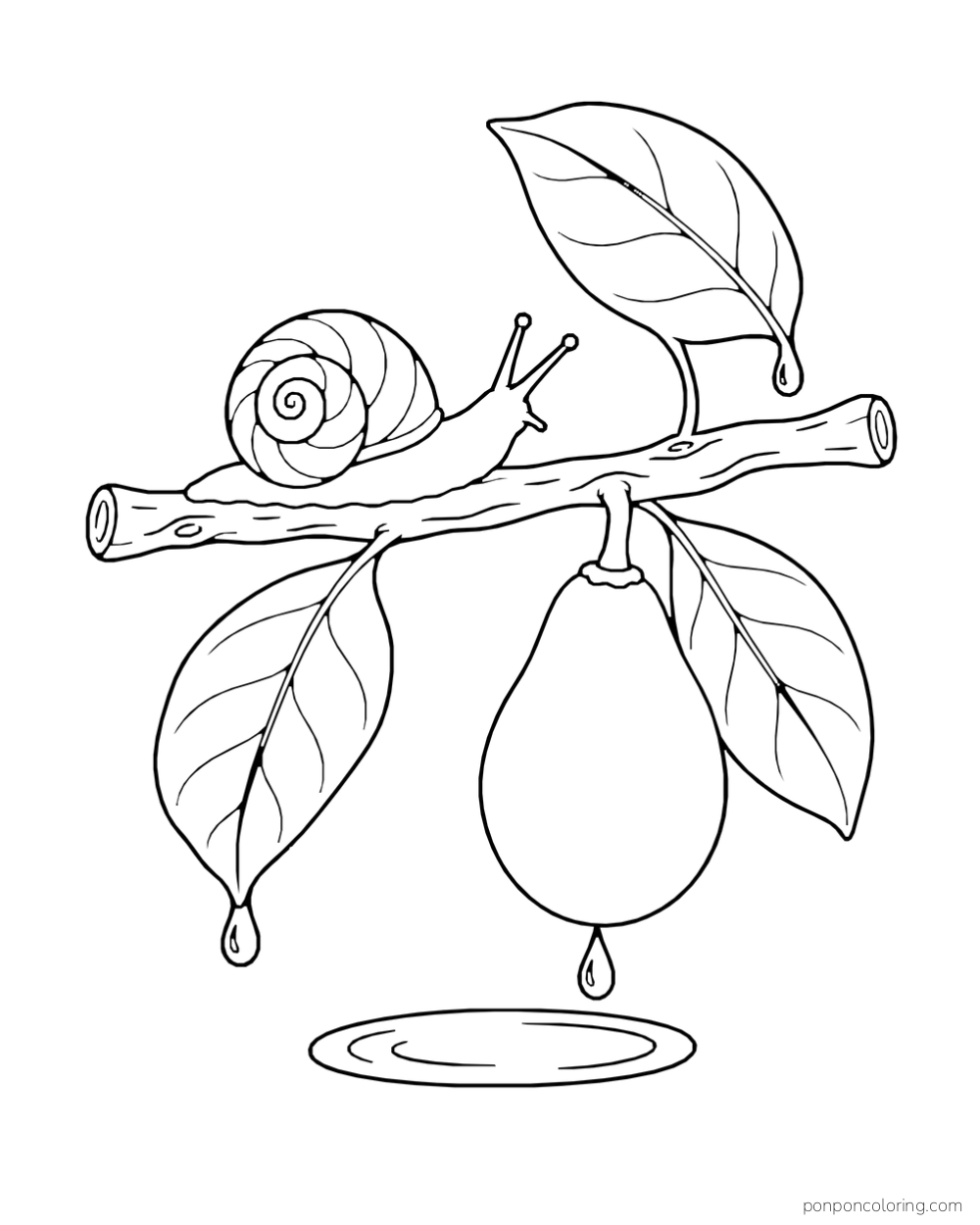 A snail crawls along a leafy avocado branch with one hanging fruit and rain drops.