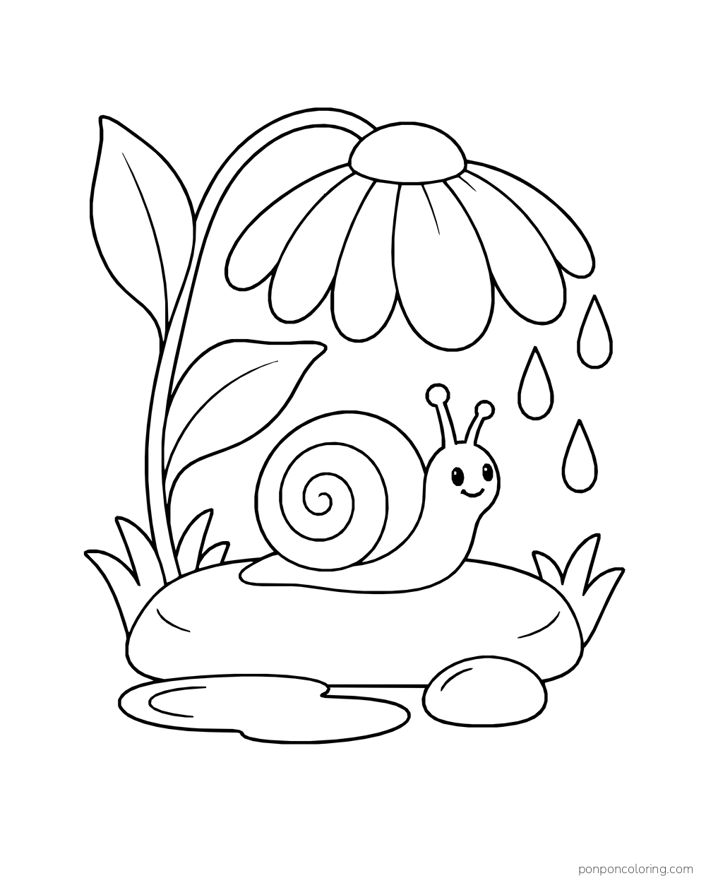 A smiling snail sheltering beneath a large daisy on a stone beside grass, a puddle, and a pebble.