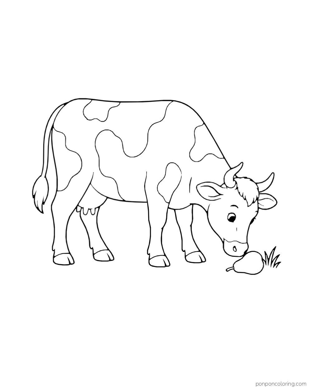 A cow bends its head toward a pear on the grass.