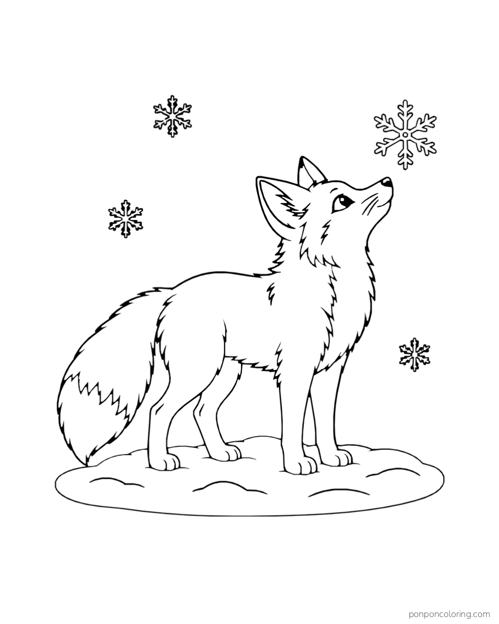 A fox tilts its muzzle toward a snowflake above a small snow patch.