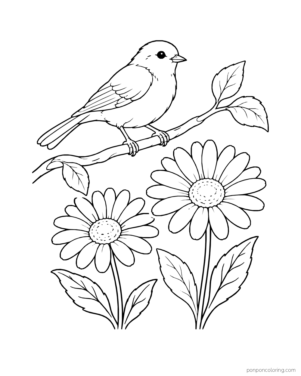 A songbird perches on a branch above two daisies and large leaves.