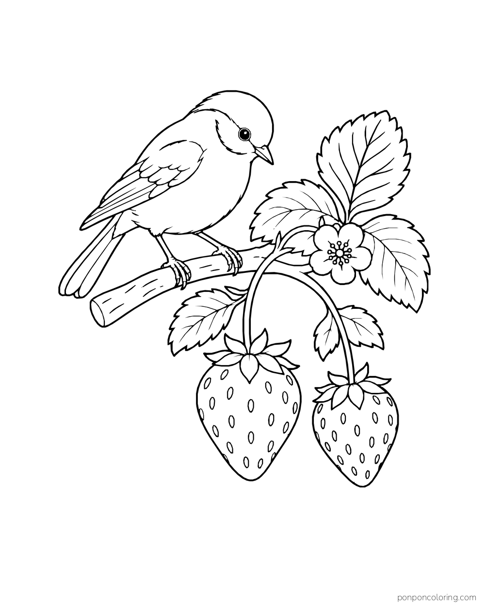 A songbird perches on a short branch beside two hanging strawberries and a blossom.
