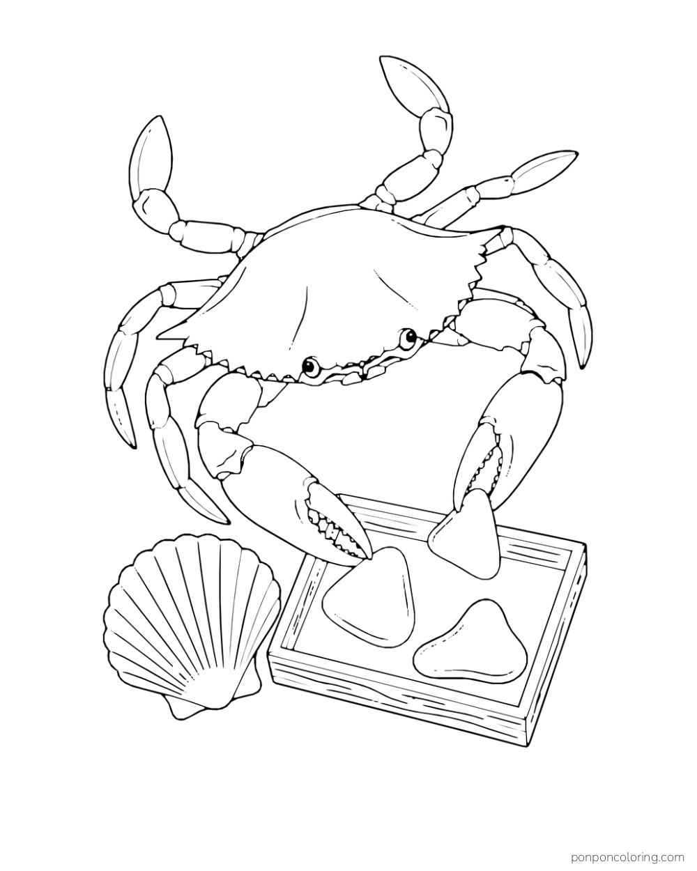 A crab lowers a smooth piece toward a tray of three rounded pieces beside a scallop shell.