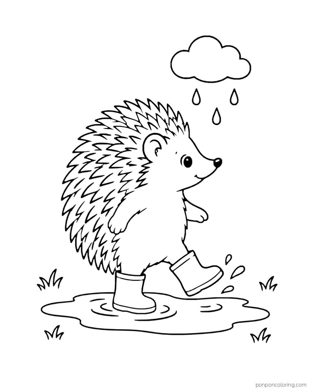 A hedgehog in two rain boots steps into a puddle beneath a small rain cloud.
