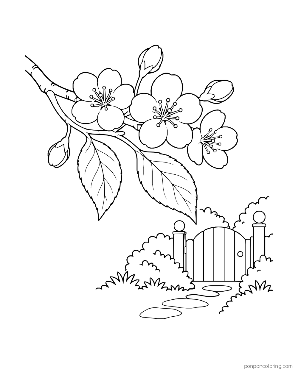 Cherry blossoms open on a leafy branch above a distant garden gate and path.