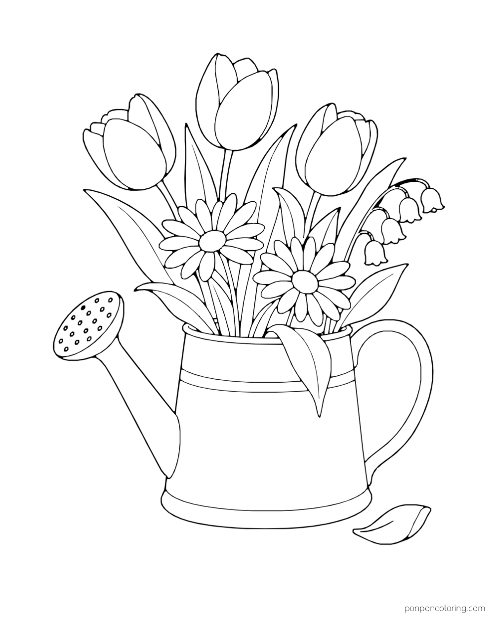 Three tulips, two daisies, and a sprig of bell-shaped flowers fill a watering can beside a fallen petal.
