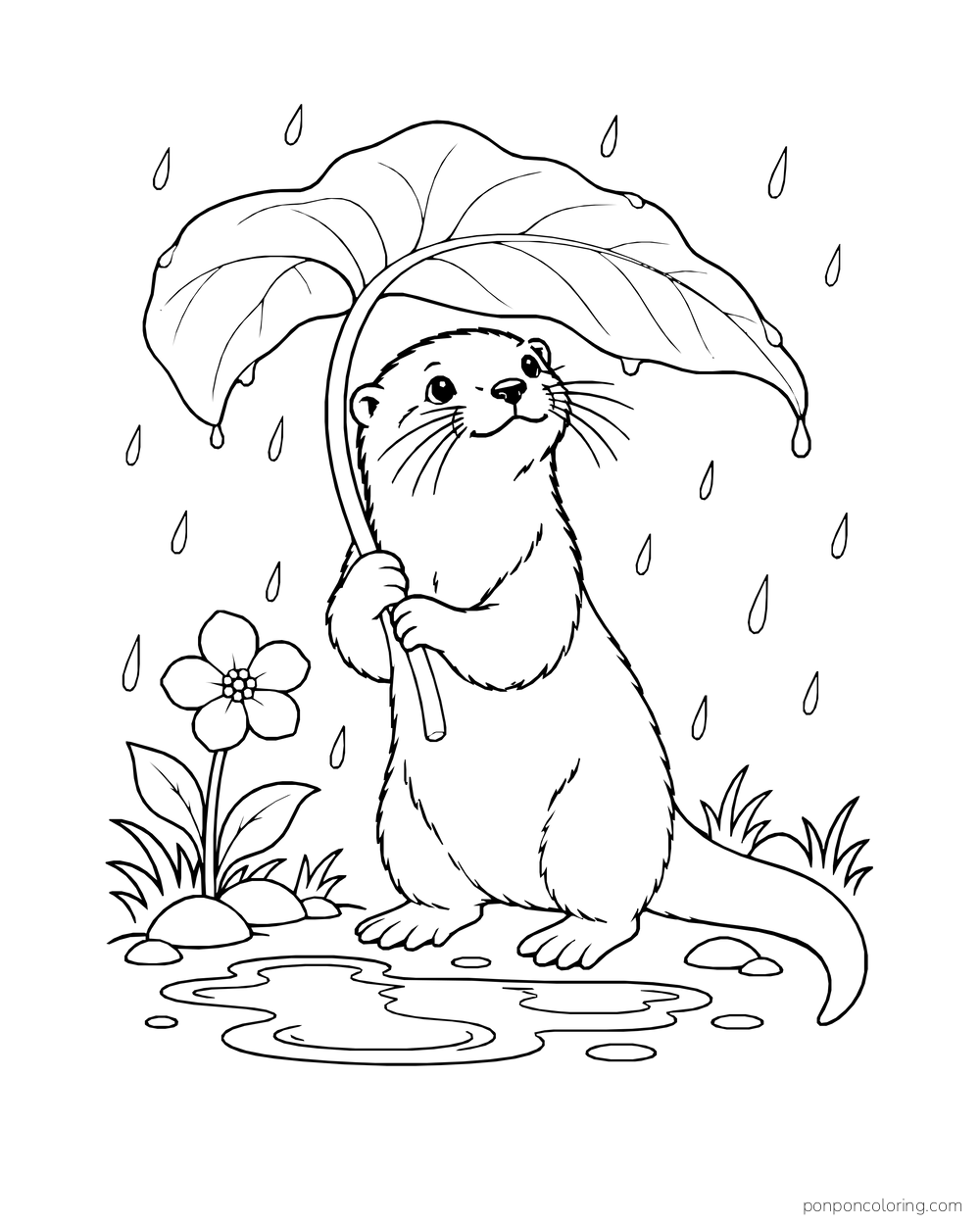 Otter holding a large leaf over its head in gentle rain by one flower.