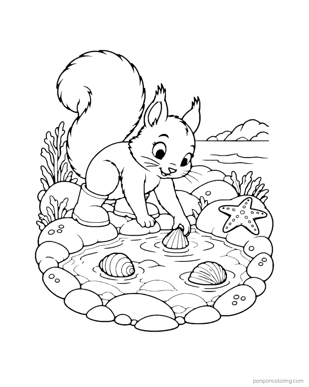 A squirrel in boots reaches for a shell in a small tide pool with rocks and a starfish.
