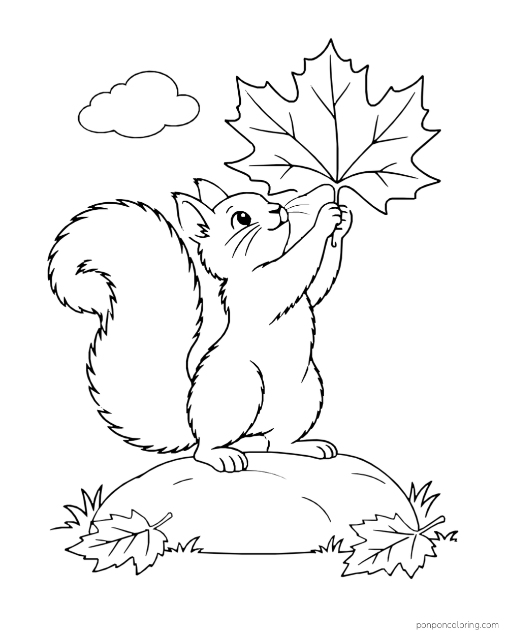 A squirrel lifts a large maple leaf above its head in an open woodland scene.