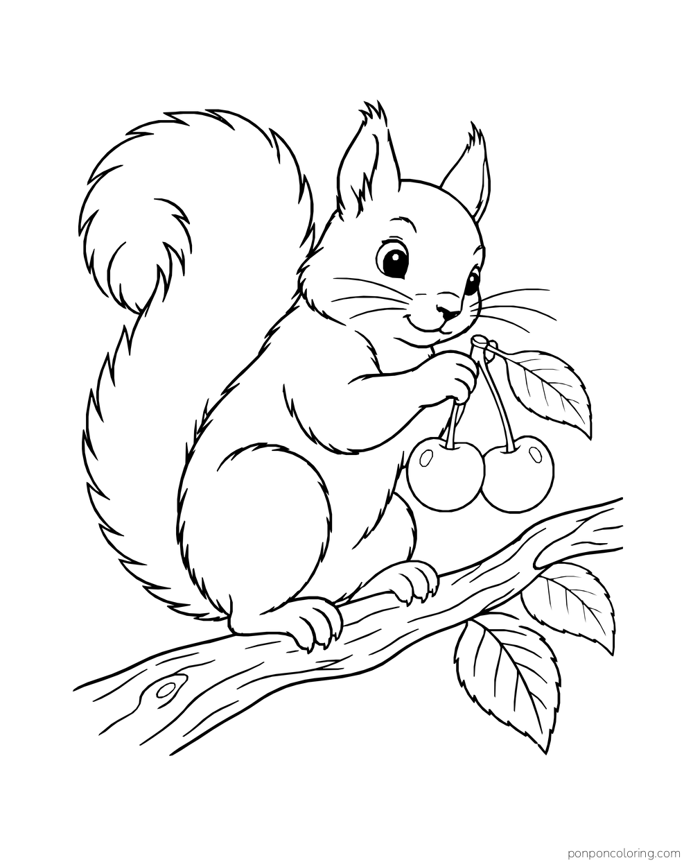 A squirrel sits on a branch holding joined cherries beside its curled tail.