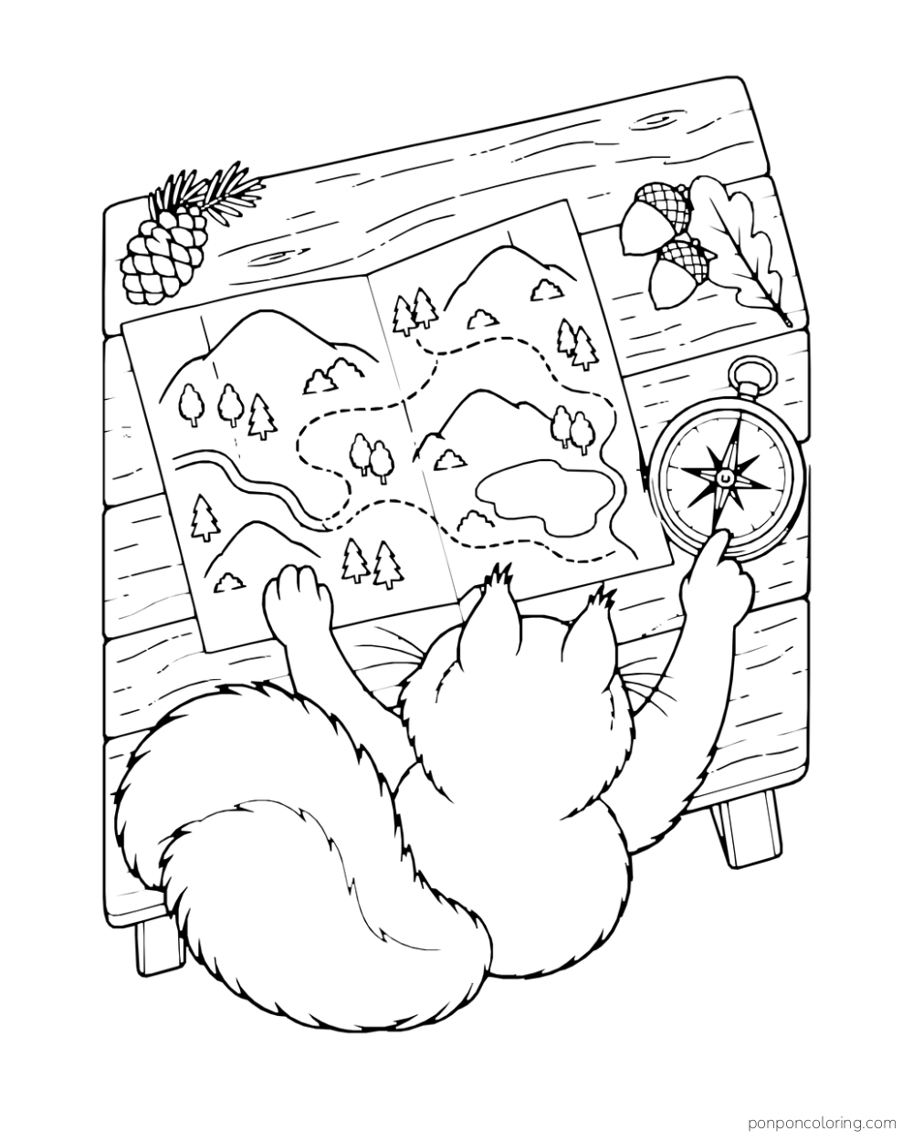 A squirrel viewed from behind studies a trail map and points toward a compass.