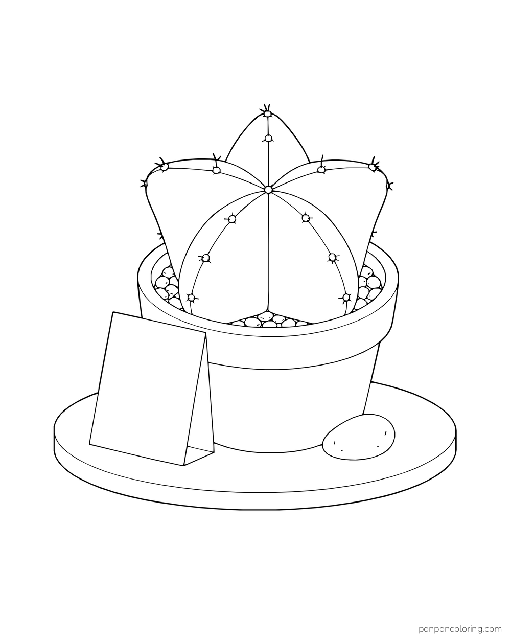 A star-shaped cactus in a pot stands on a round tray beside a blank folded seed card and a stone.