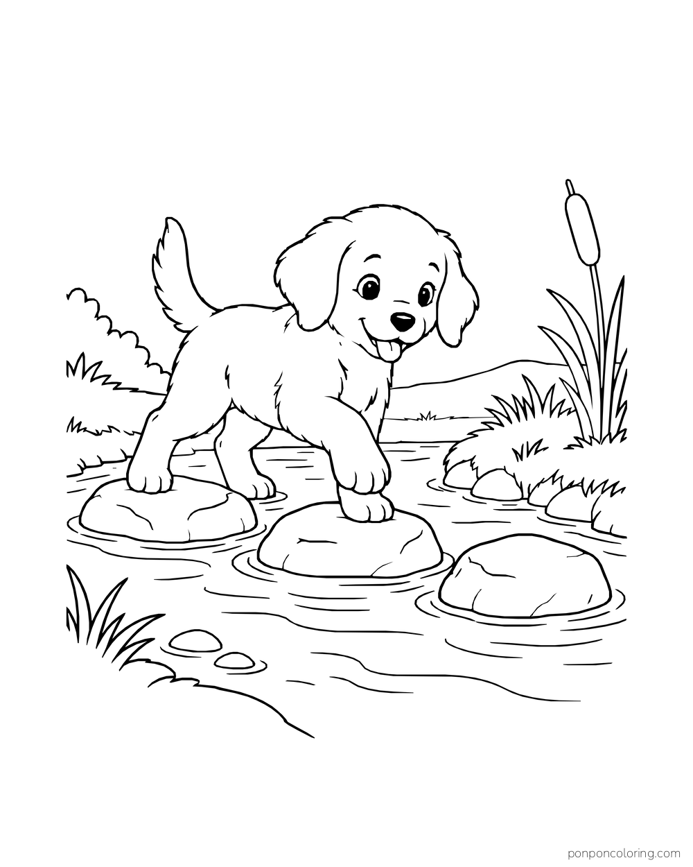 A puppy lifts a paw onto creek stepping stones between grassy banks and cattails.
