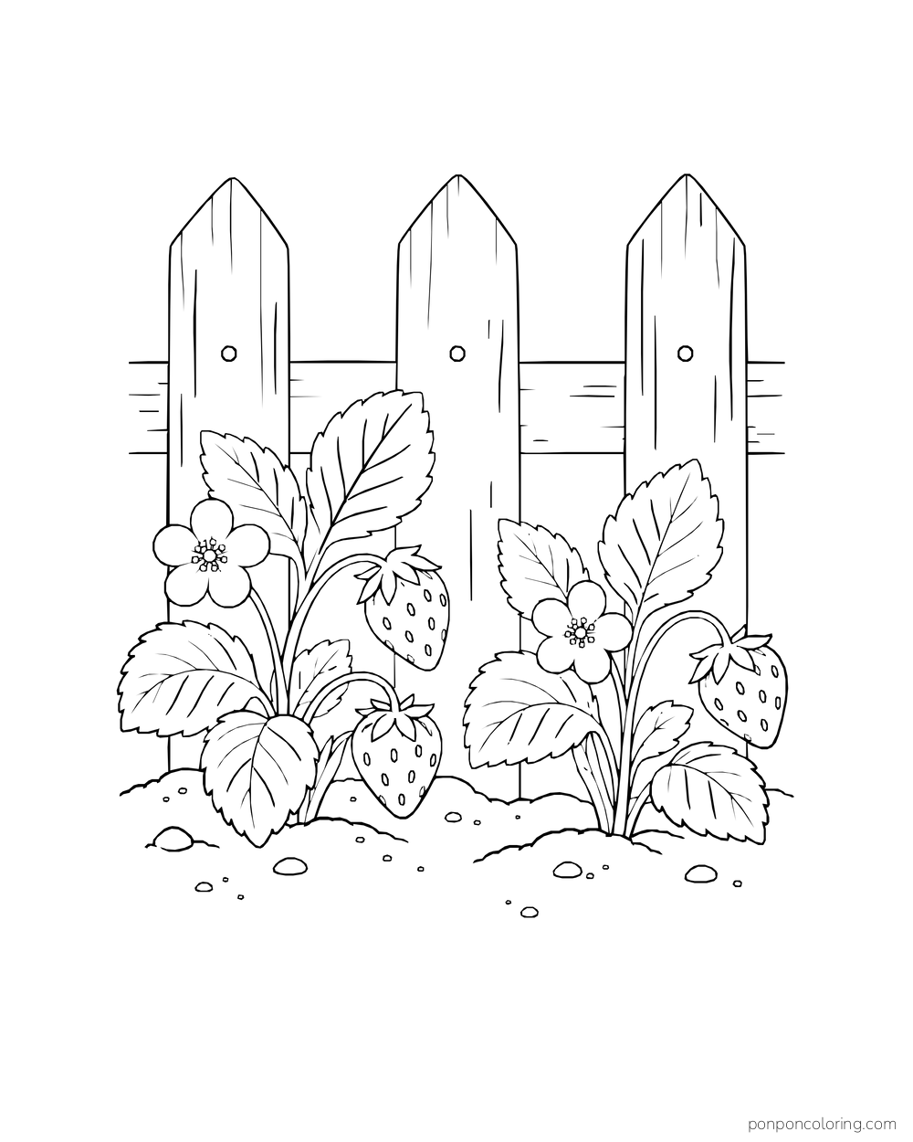 Two strawberry plants grow in front of three fence pickets, with blossoms and berries among the leaves.