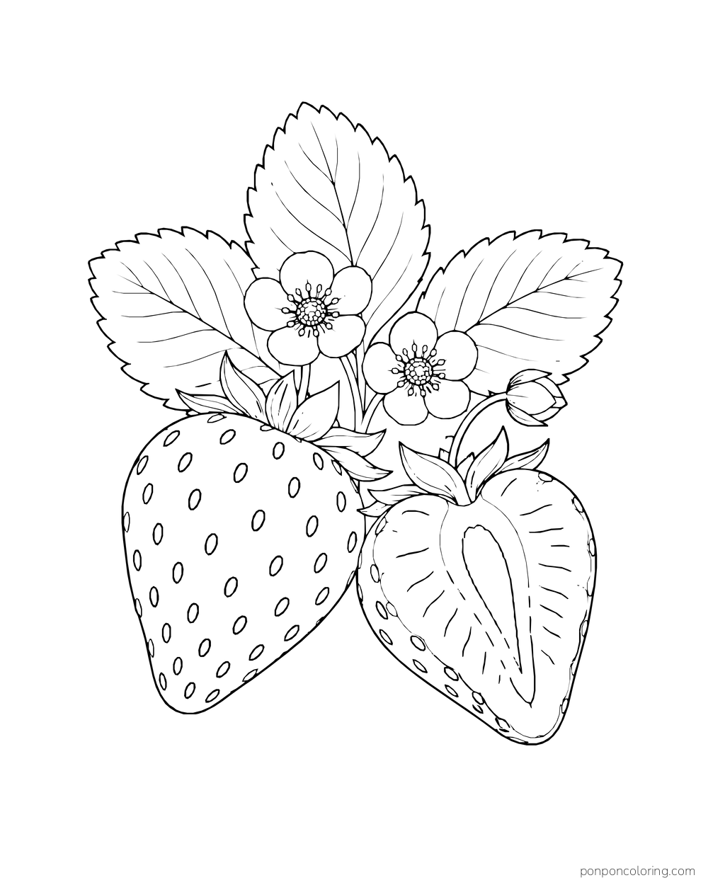 A whole strawberry and a lengthwise cut half sit beneath leaves and two small blossoms.